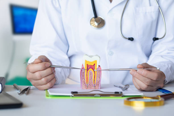 Best Emergency Gum Treatment in Helena West Side, MT